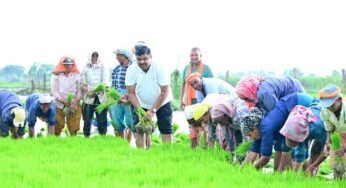 कृषि कार्यों में शामिल हुए शिक्षा मंत्री गजेन्द्र यादव