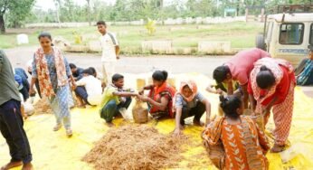 सुकमा में मशरूम उत्पादन का प्रशिक्षण बना आत्मनिर्भरता की नई राह