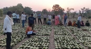 साय सरकार के सुशासन में तेन्दूपत्ता संग्राहकों को मिली आर्थिक मजबूती, 10,160 हितग्राहियों के खातों में पहुँची 1.39 करोड़ रुपये से अधिक की बोनस राशि