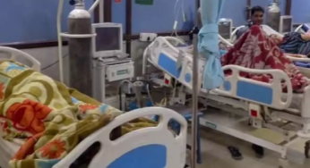 CG : देशी मशरूम खाने से फूड पॉइजनिंग, आधा दर्जन लोग बीमार …