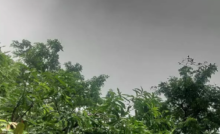 CG : छत्तीसगढ़ समेत कई राज्यों में हो रही भारी बारिश, IMD का अलर्ट …
