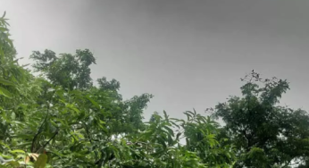 CG : छत्तीसगढ़ समेत कई राज्यों में हो रही भारी बारिश, IMD का अलर्ट …