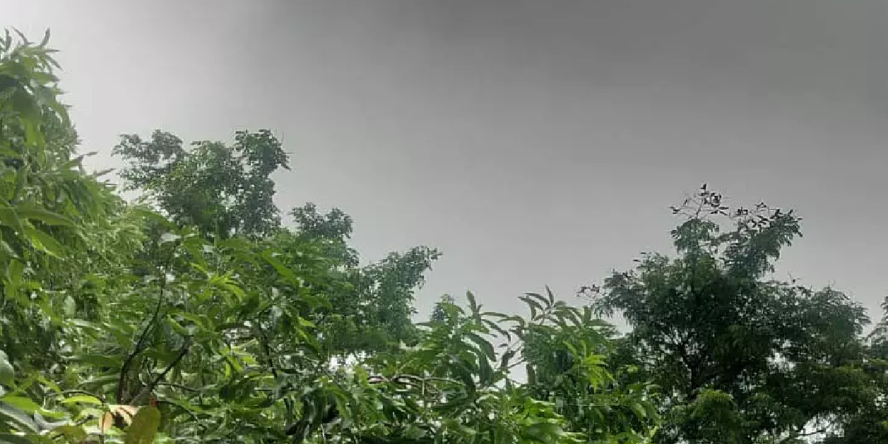 CG : छत्तीसगढ़ समेत कई राज्यों में हो रही भारी बारिश, IMD का अलर्ट …