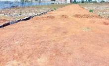 CG : कांदूल, भाठागांव, डोमा और दतरेंगा में अवैध प्लाटिंग वाले पुनः काबिज होने लगे …