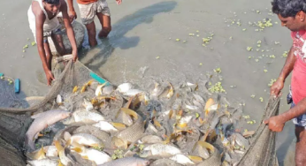CG : 15 अगस्त तक मत्स्याखेट पूर्ण रूप से प्रतिबंधित …