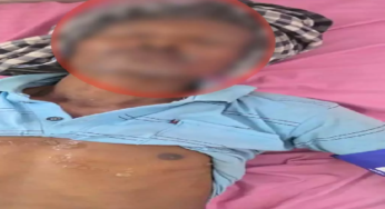 CG : बिलासपुर में हाईटेंशन तार की चपेट में आए 5 मजदूर, मचा हड़कंप …