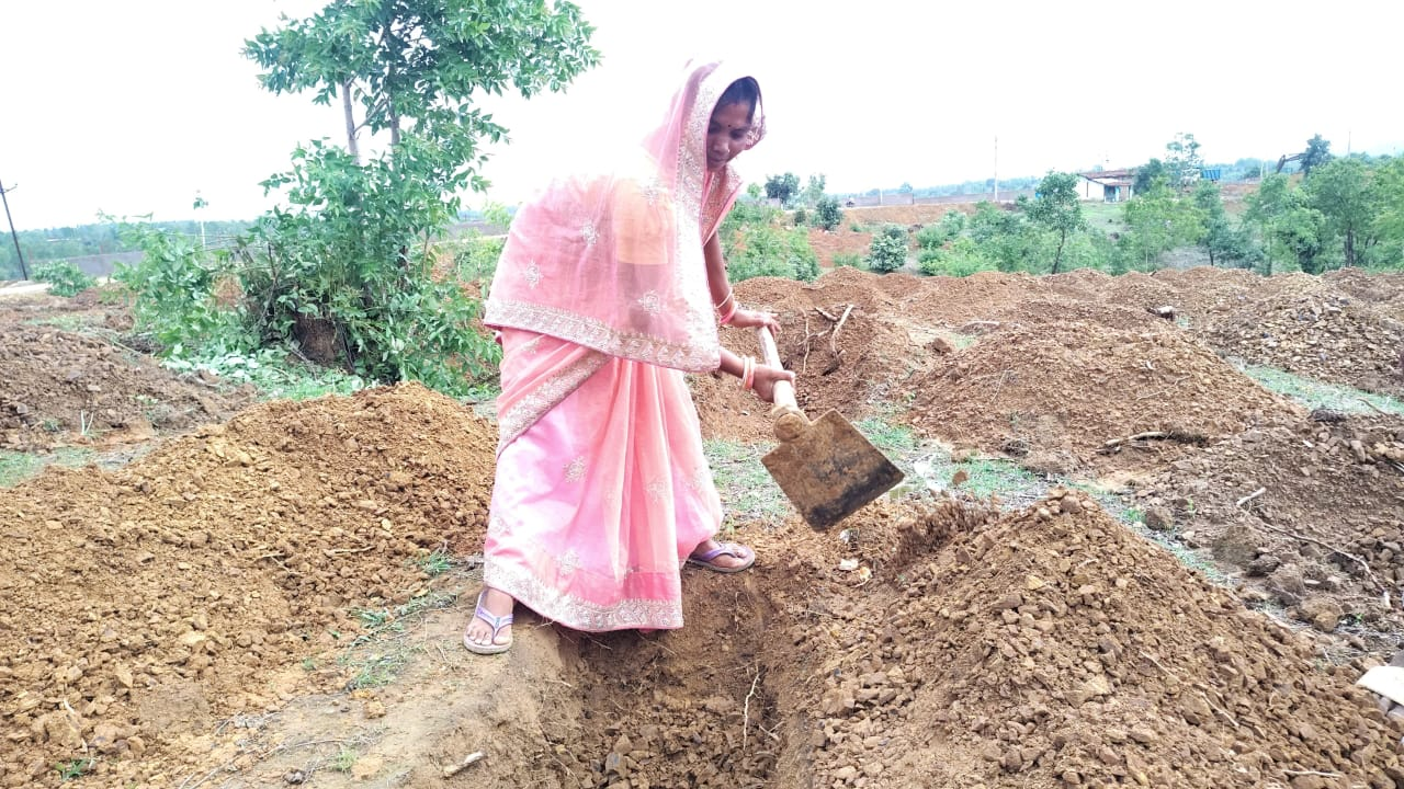 ग्राम परसगढ़ी की रानी सिंह बोलीं: 125 दिनों का रोजगार, 300 रुपये प्रतिदिन मजदूरी और 15 दिनों में भुगतान से बदला परिवार का भविष्य ...