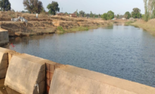अंधेरगढ़ नाला का पक्का चेक डेम बना किसानों की उम्मीद, 12.5 एकड़ खेतों को मिलेगा सिंचाई का संबल ...
