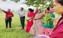 CG : धमतरी मॉडल बना देश के लिए प्रेरणा …