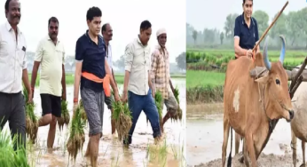 CG : विष्णुदेव साय के मंत्री ने नागर से खेत की मताई की, रोपाई में हाथ बंटाया …