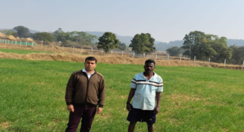 CG : कम लागत, दोगुना फायदा : जशपुर के किसान ने गेहूं की खेती से बढ़ाई आमदनी …