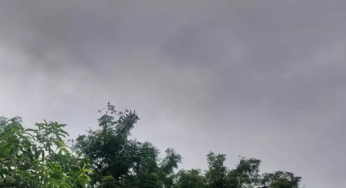 CG : छत्तीसगढ़ में हल्की बारिश कल से जारी, आज कहीं-कहीं तेज बारिश होने का अलर्ट …