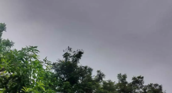 CG : अगले 2 से 3 दिनों तक लगातार बारिश के आसार, IMD की रिपोर्ट ..