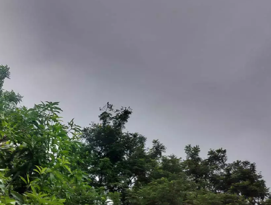 CG : अगले 2 से 3 दिनों तक लगातार बारिश के आसार, IMD की रिपोर्ट ..