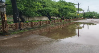 राजनांदगांव : सर्किट हाउस रोड पर हल्की बारिश से पानी हो रहा जाम …