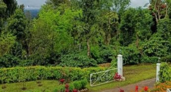 प्राकृतिक सौंदर्य, कॉफी बागानों और जनजातीय संस्कृति की अनूठी पहचान है बैतूल का कुकरू खामला