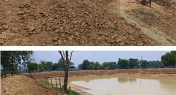 बारिश के साथ दिखने लगा ‘मोर गांव-मोर पानी’ अभियान का असर