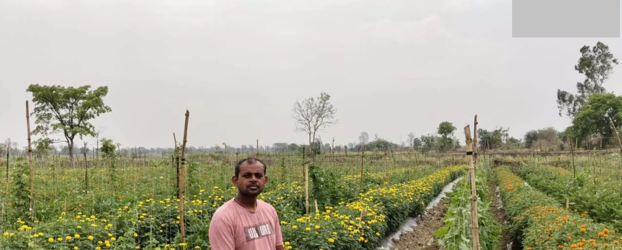 CG : गरियाबंद : गेंदा फूल की खेती से किसान हेमचंद साहू की बदली तस्वीर …