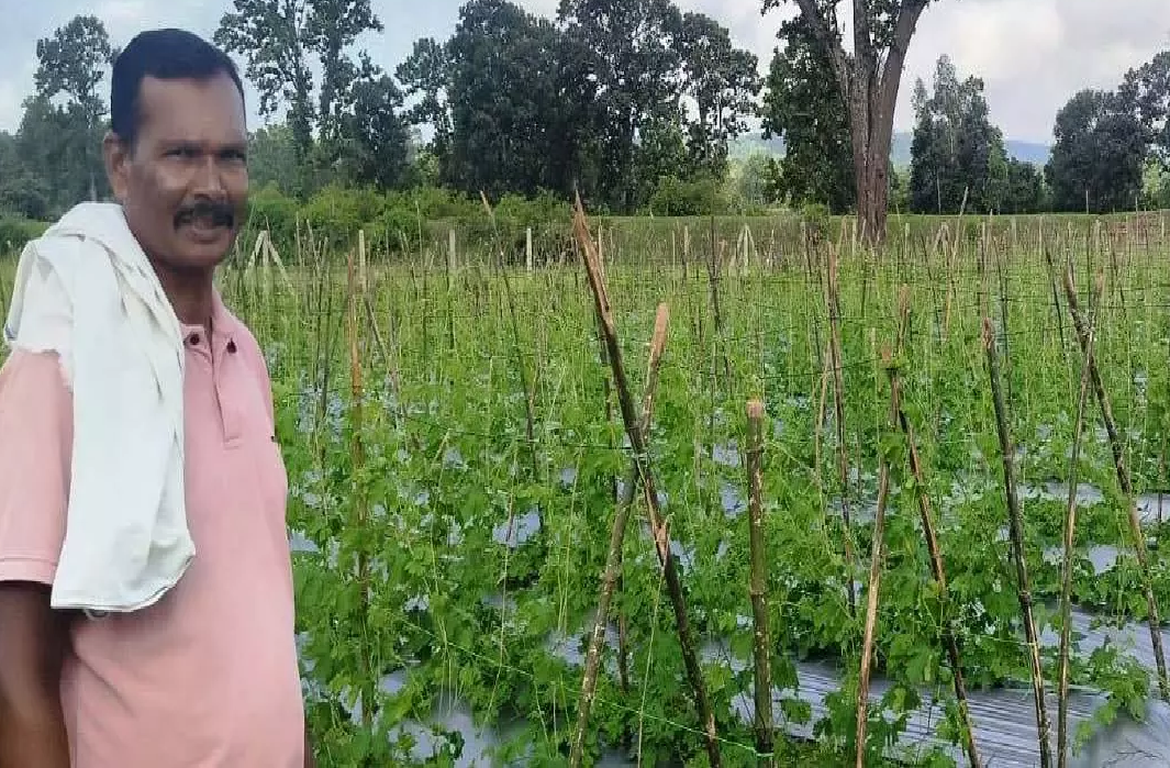 CG : वैज्ञानिक खेती अपनाकर, करेला उत्पादन में किसान बजरंग बने प्रेरणा स्रोत …