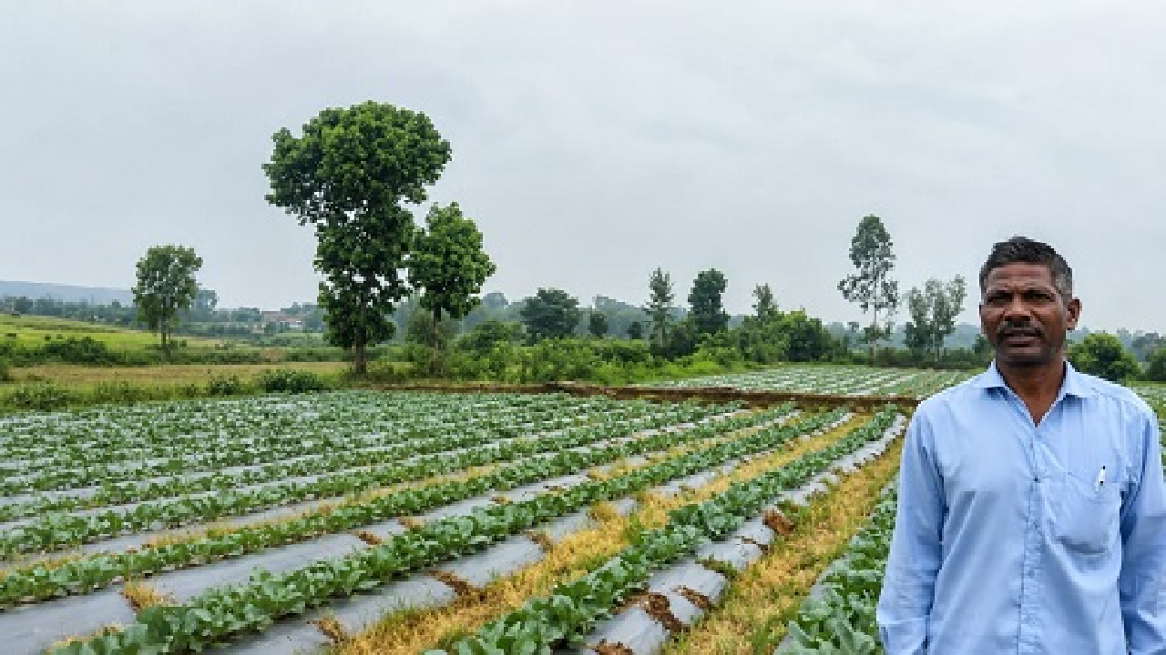 CG : सूक्ष्म सिंचाई योजना से खेती बनी अधिक लाभकारी …