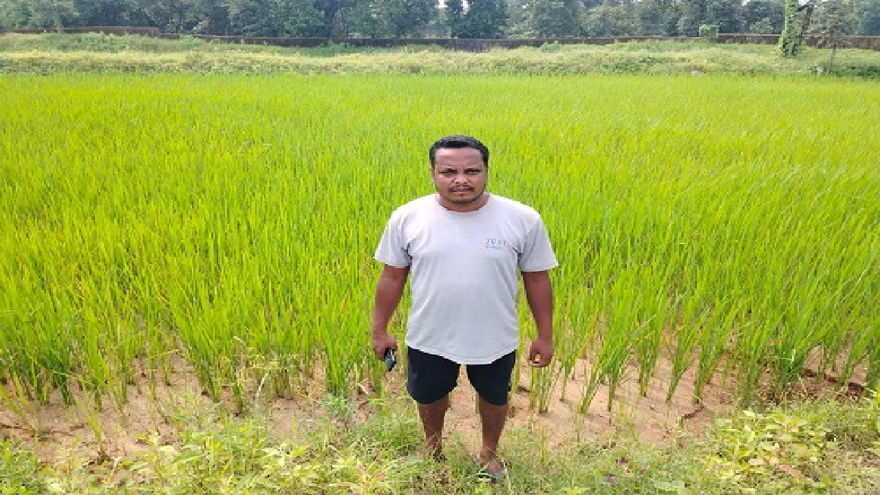 CG : सौर सुजला योजना से खेतों तक पहुंचा सिंचाई का भरोसा…