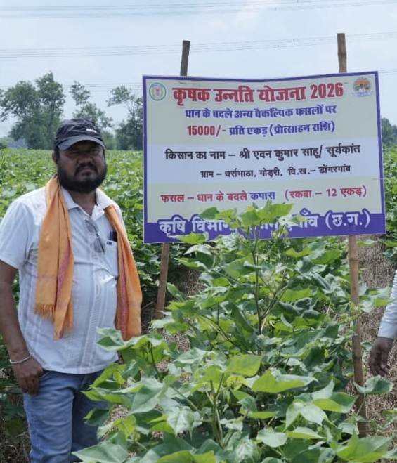 राजनांदगांव : फसल विविधीकरण की ओर बढ़े किसान एवन साहू ने 56.5 एकड़ में अपनाई वैकल्पिक फसलों की खेती
