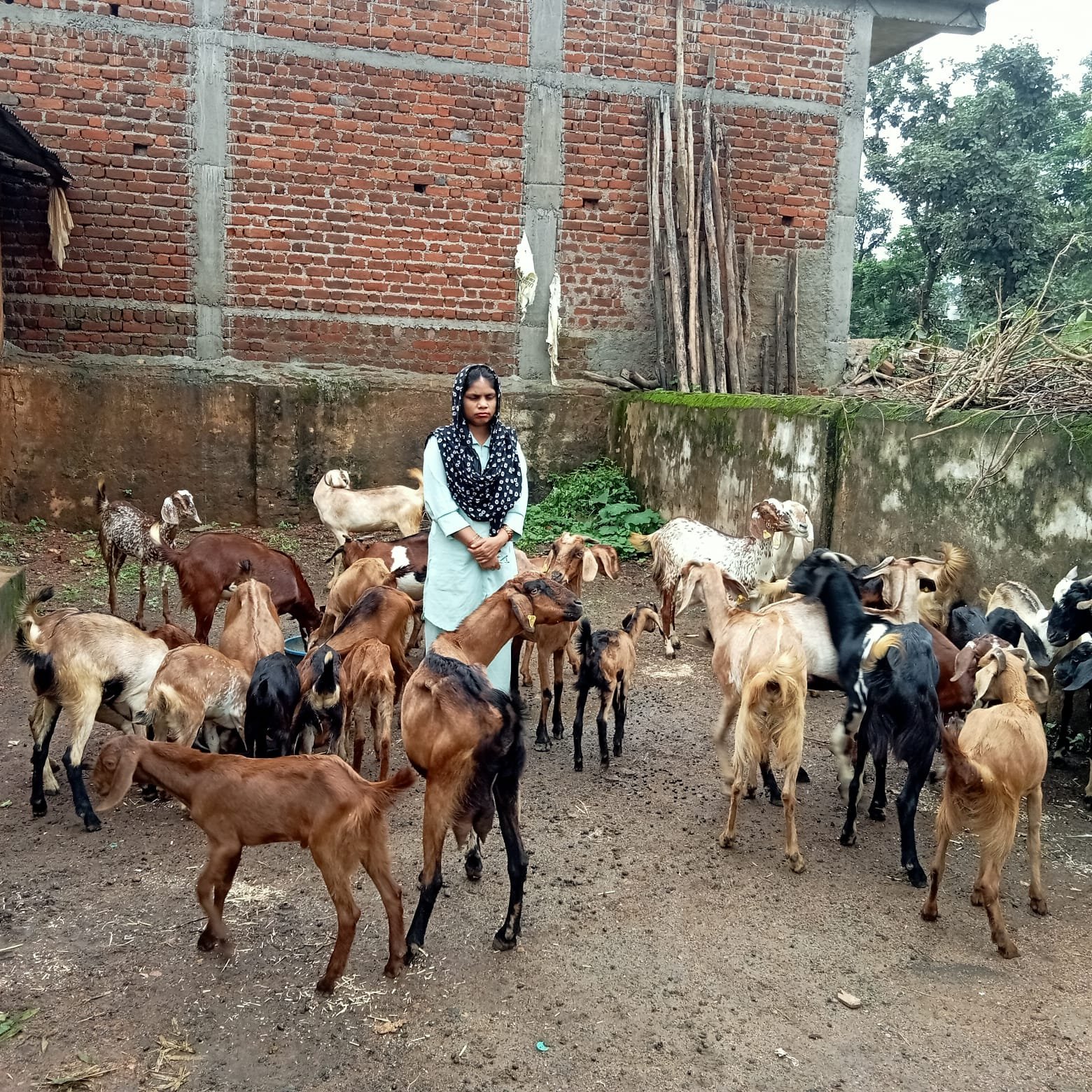 मोहला : योजना से मिला संबल,आत्मनिर्भरता की ओर बढ़ता हिना का परिवार