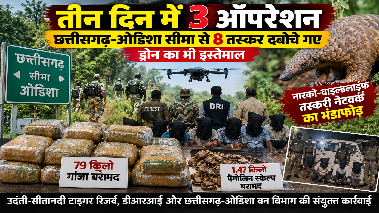 CG : तीन दिन में 3 ऑपरेशन, छत्तीसगढ़-ओडिशा सीमा से 8 तस्कर दबोचे गए, ड्रोन का भी इस्तेमाल …