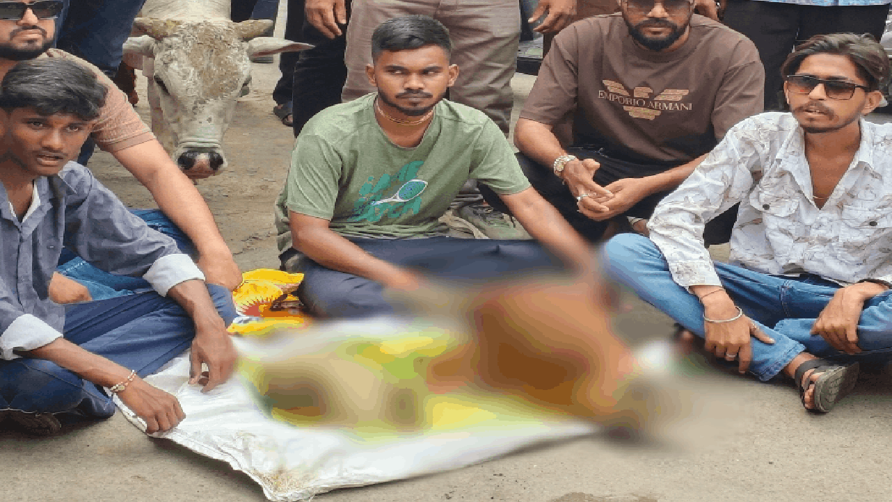 राजनांदगांव : गौ हत्या मामला : नागपुर और नांदगांव में बेचते थे मांस, 11 आरोपी गिरफ्तार...