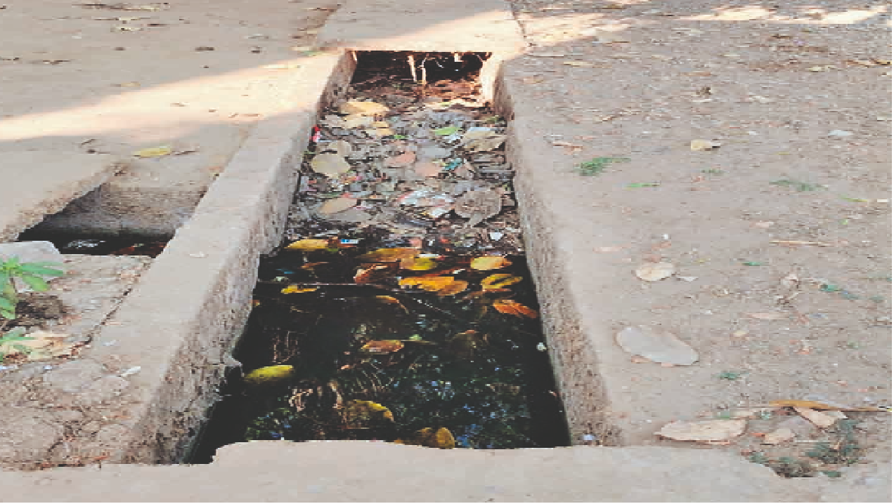 राजनांदगांव : सर्विस लेन किनारे खुली नालियों में भर रहा कचरा...