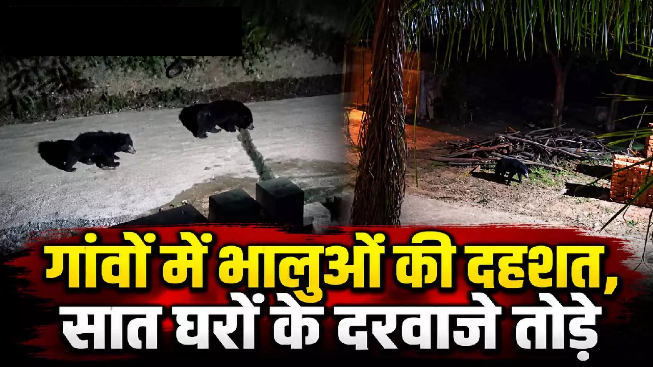 CG : गांवों में भालुओं की दहशत, सात घरों के दरवाजे तोड़े …
