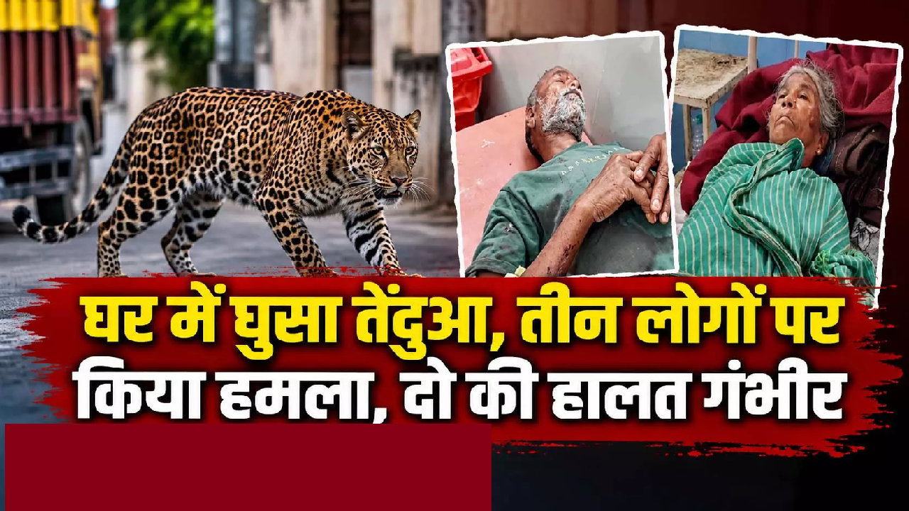 CG : घर में घुसा तेंदुआ, तीन लोगों पर किया हमला, दो की हालत गंभीर …