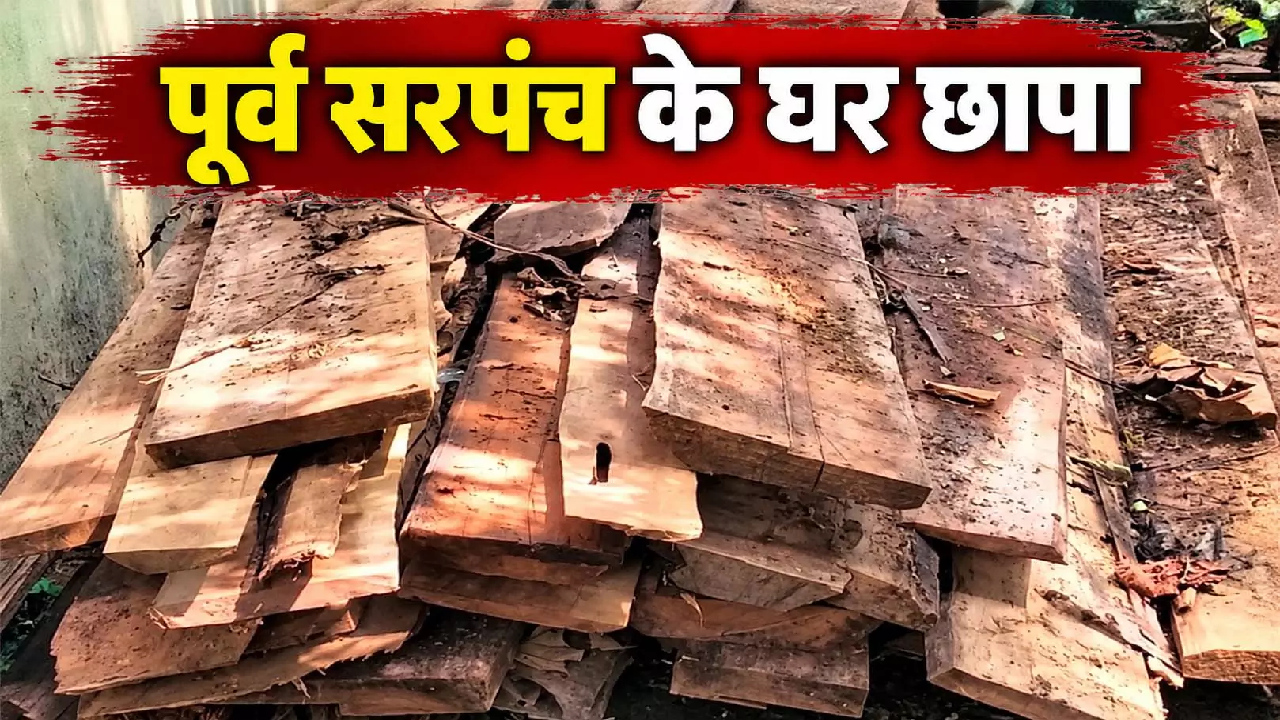 CG : पूर्व सरपंच के घर मिला लाखों का सागौन, पुलिस और वन विभाग ने की कार्रवाई …