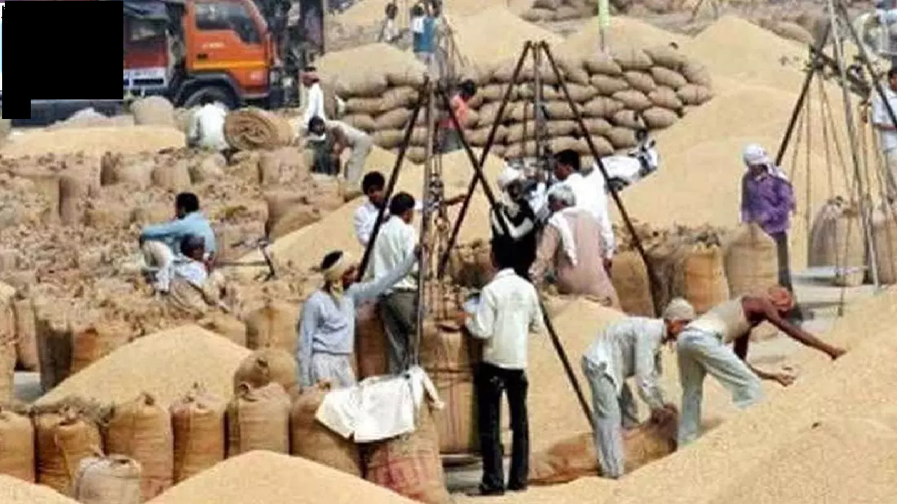 CG : छत्तीसगढ़ में 15 नवंबर से धान खरीदी की तैयारी; किसानों के लिए टोकन, यहां देखें पंजीयन और 21 क्विंटल का नियम …