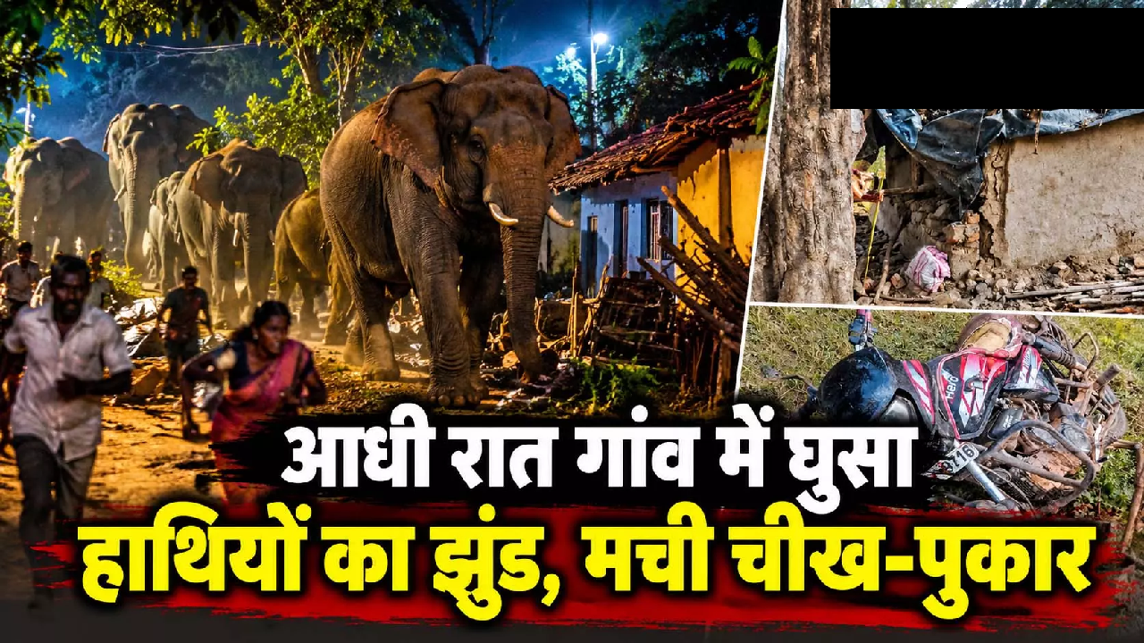 CG : आधी रात गांव में घुसा हाथियों का झुंड, मची चीख-पुकार …